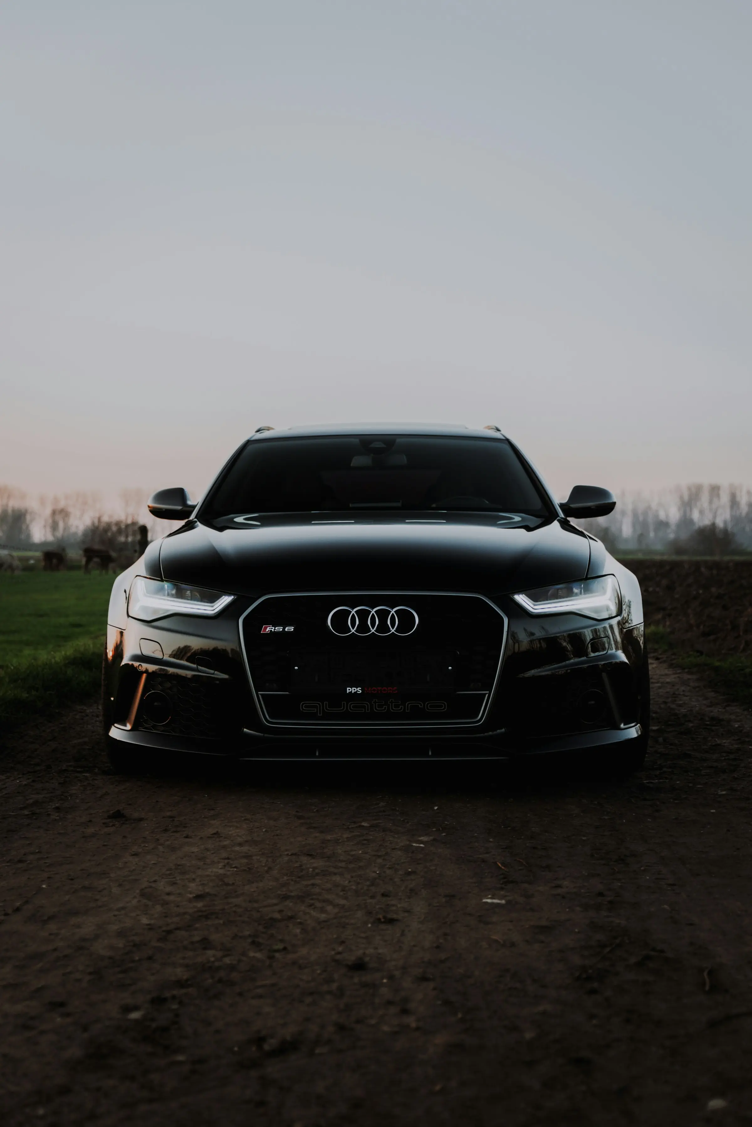 Black Audi RS6 Avant facing the camera at dusk